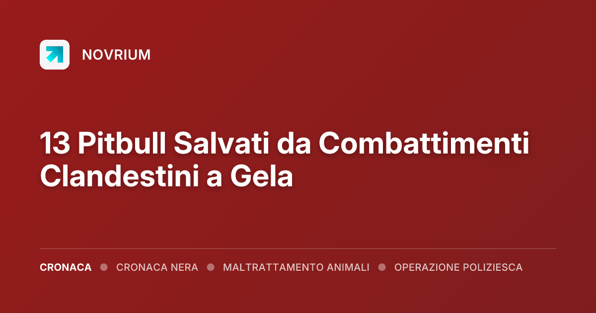13 Pitbull Salvati da Combattimenti Clandestini a Gela