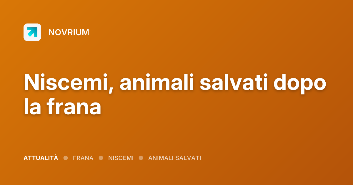 Niscemi, animali salvati dopo la frana