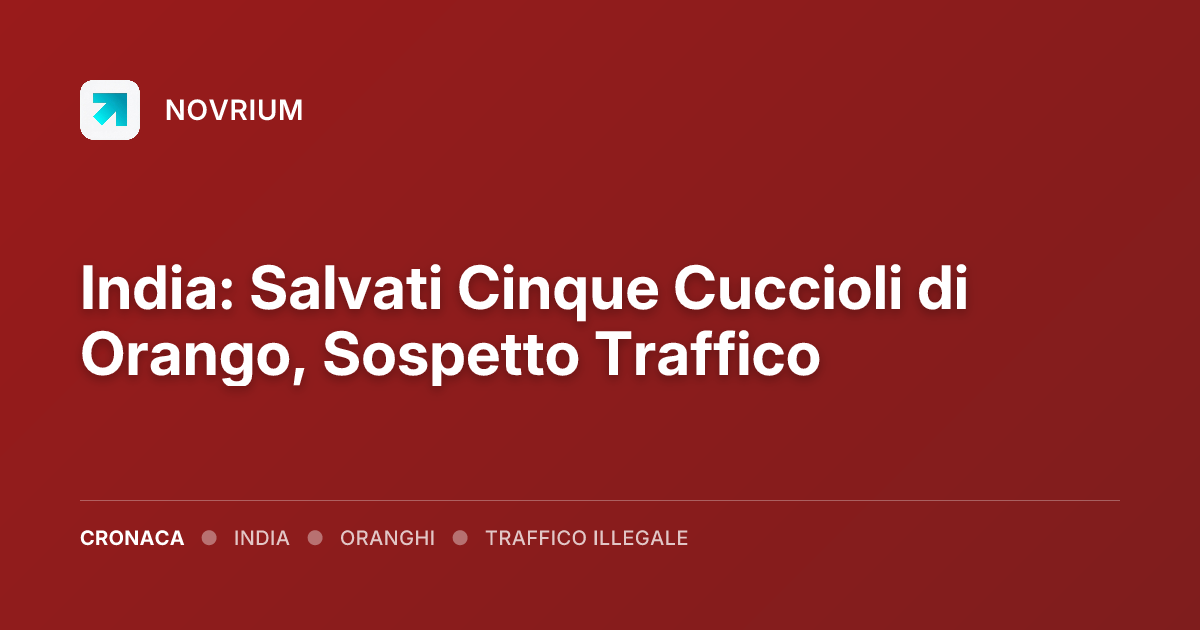 India: Salvati Cinque Cuccioli di Orango, Sospetto Traffico
