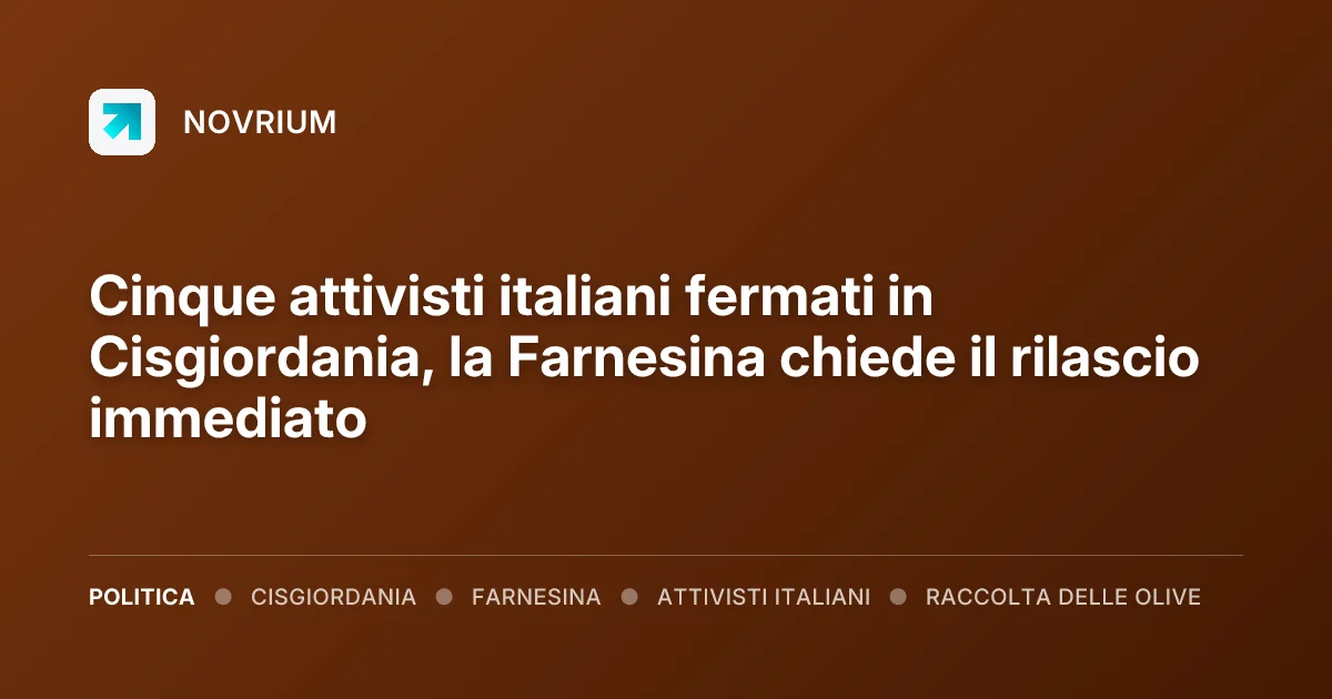 Cinque attivisti italiani fermati in Cisgiordania, la Farnesina chiede il rilascio immediato