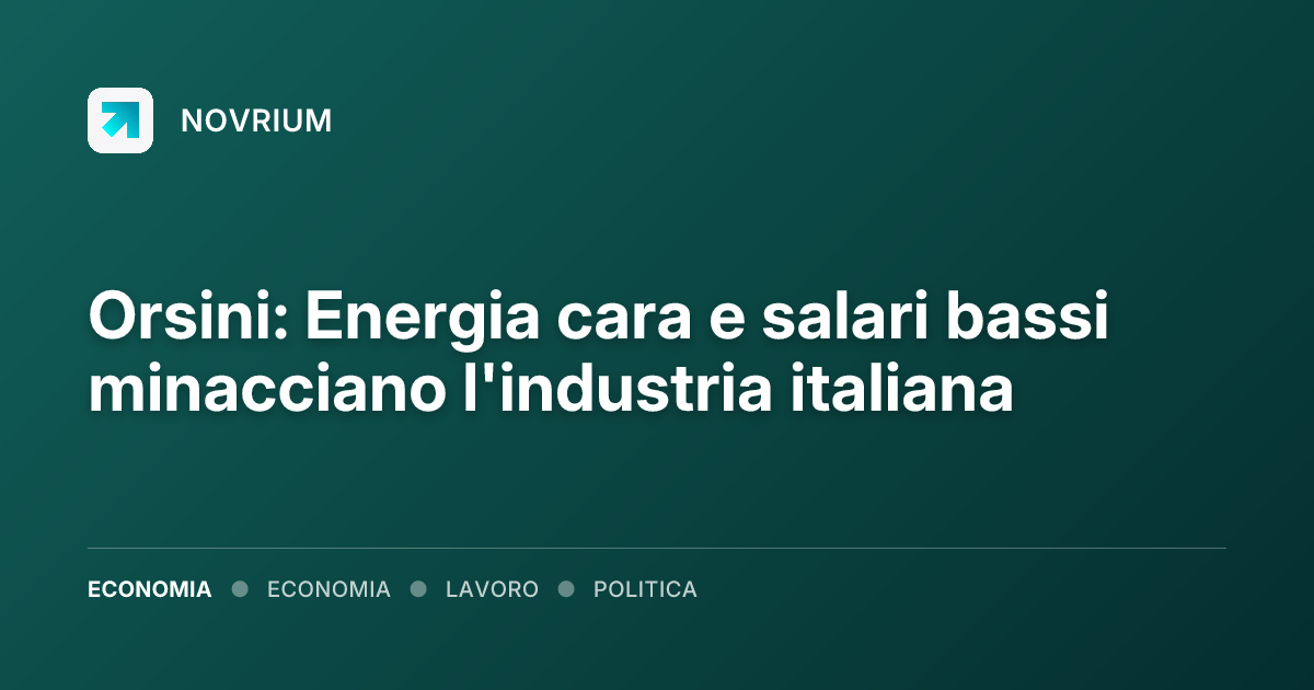 Orsini: Energia cara e salari bassi minacciano l'industria italiana
