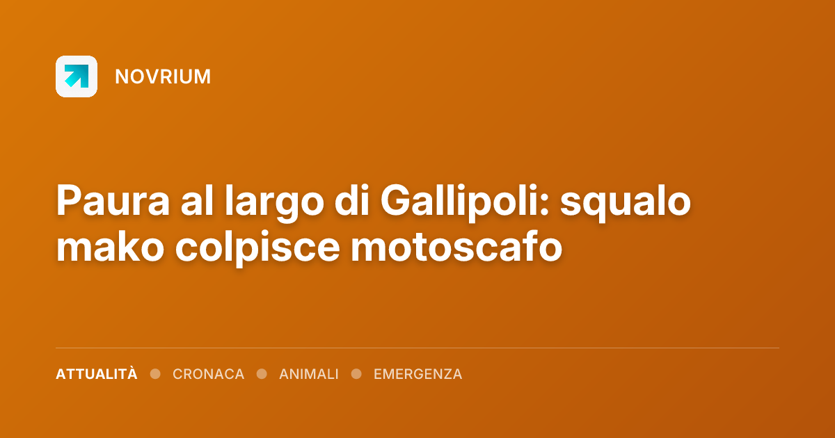 Paura al largo di Gallipoli: squalo mako colpisce motoscafo