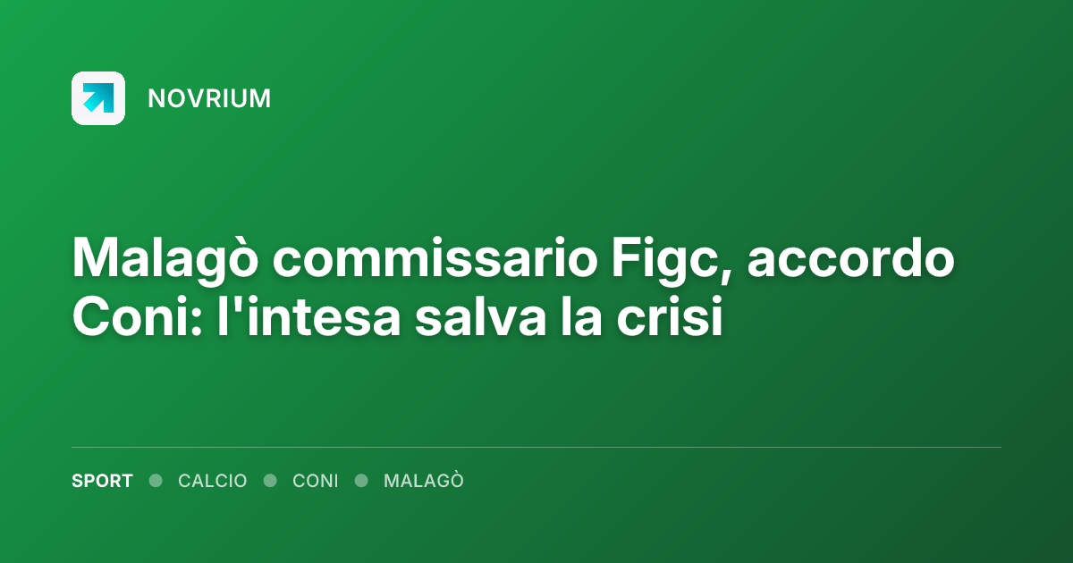 Malagò commissario Figc, accordo Coni: l'intesa salva la crisi