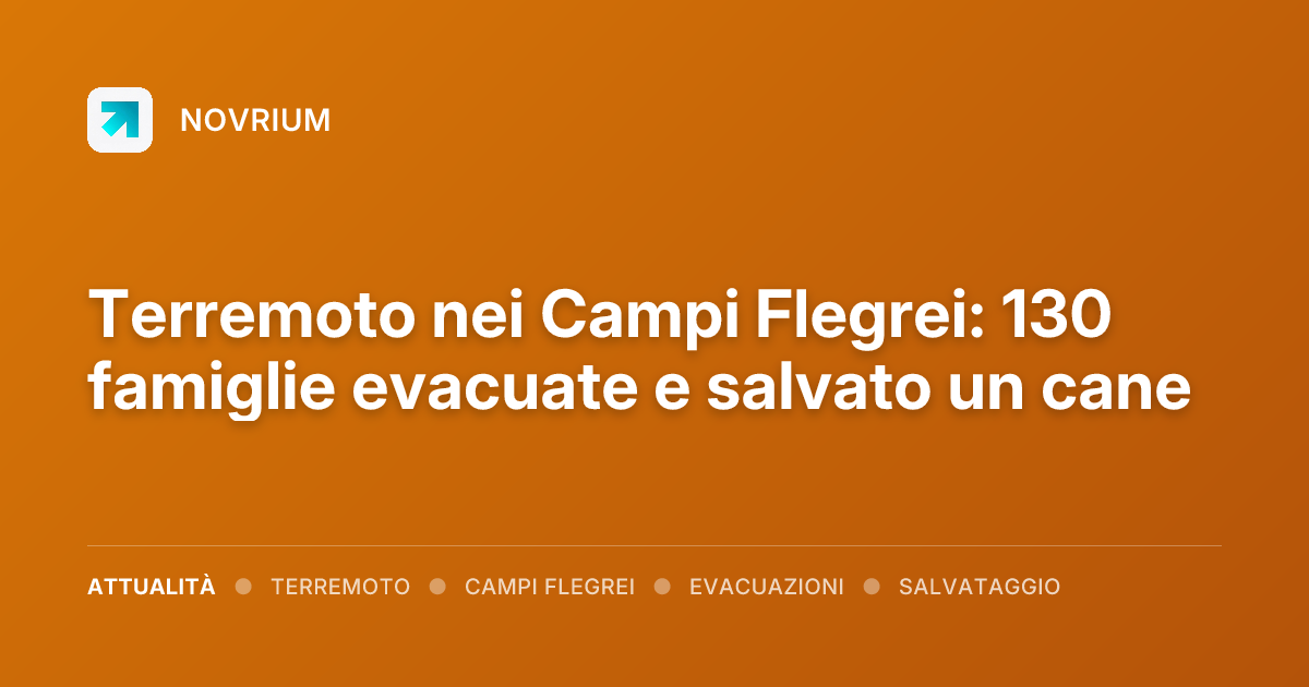 Terremoto nei Campi Flegrei: 130 famiglie evacuate e salvato un cane