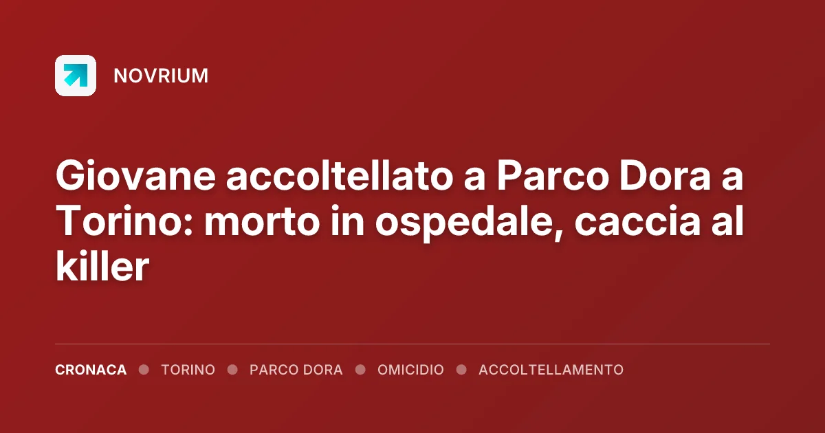 Giovane accoltellato a Parco Dora a Torino: morto in ospedale, caccia al killer