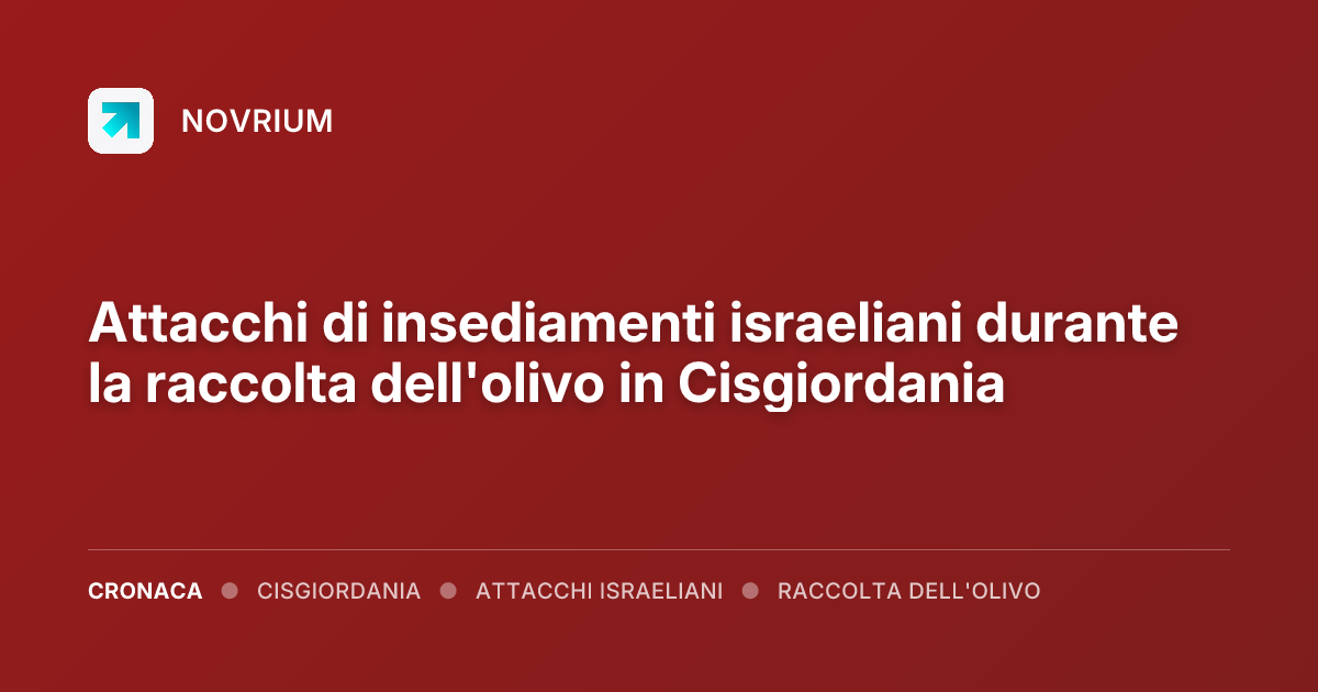 Attacchi di insediamenti israeliani durante la raccolta dell'olivo in Cisgiordania