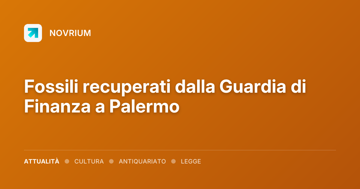 Fossili recuperati dalla Guardia di Finanza a Palermo