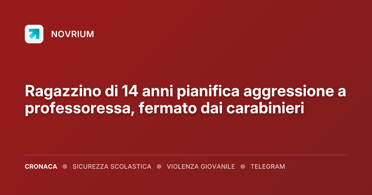 Ragazzino di 14 anni pianifica aggressione a professoressa, fermato dai carabinieri