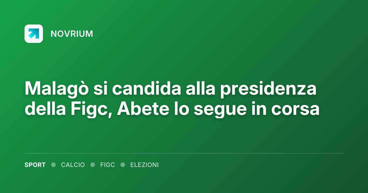 Malagò si candida alla presidenza della Figc, Abete lo segue in corsa