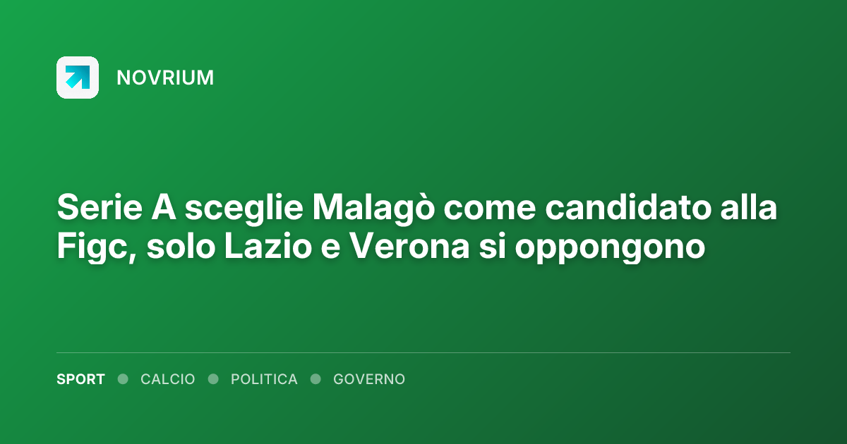 Serie A sceglie Malagò come candidato alla Figc, solo Lazio e Verona si oppongono