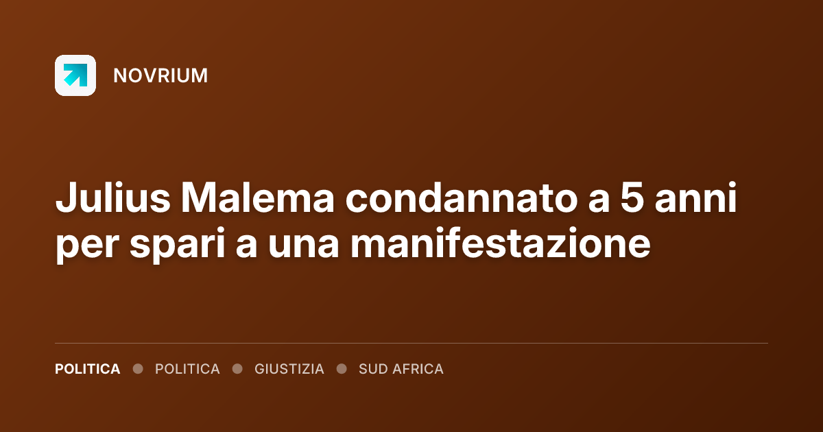 Julius Malema condannato a 5 anni per spari a una manifestazione