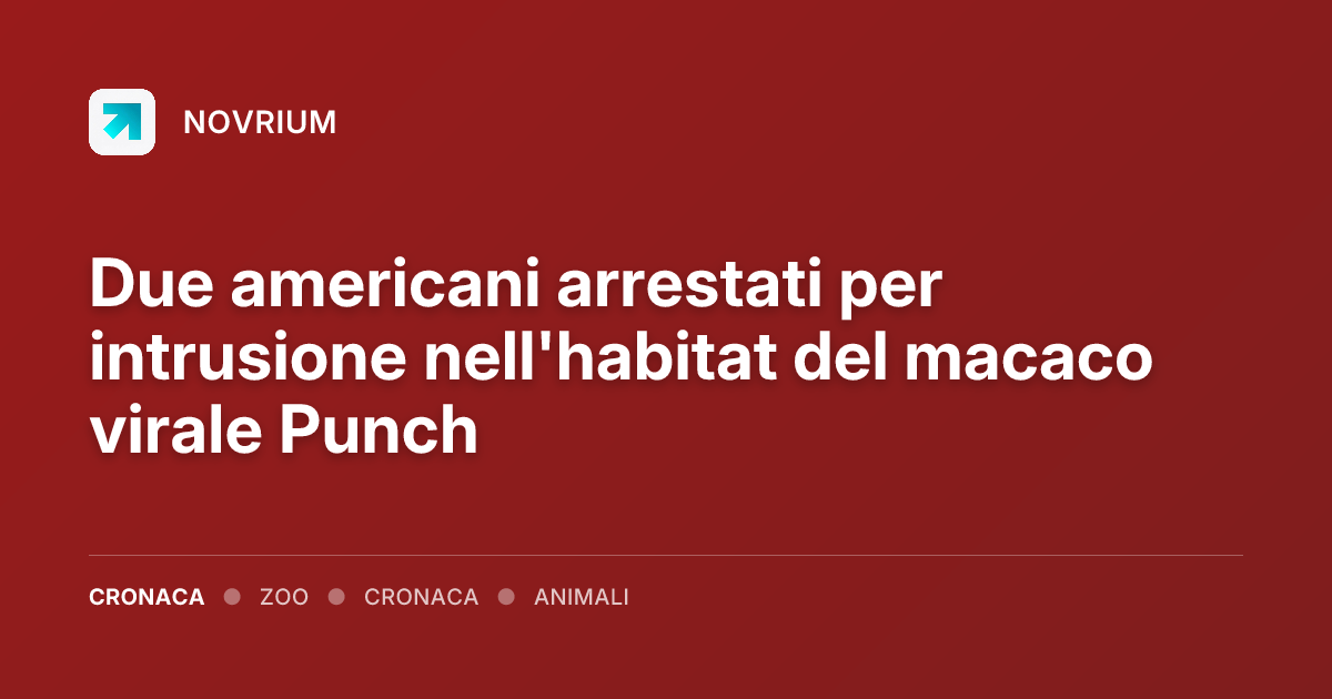 Due americani arrestati per intrusione nell'habitat del macaco virale Punch