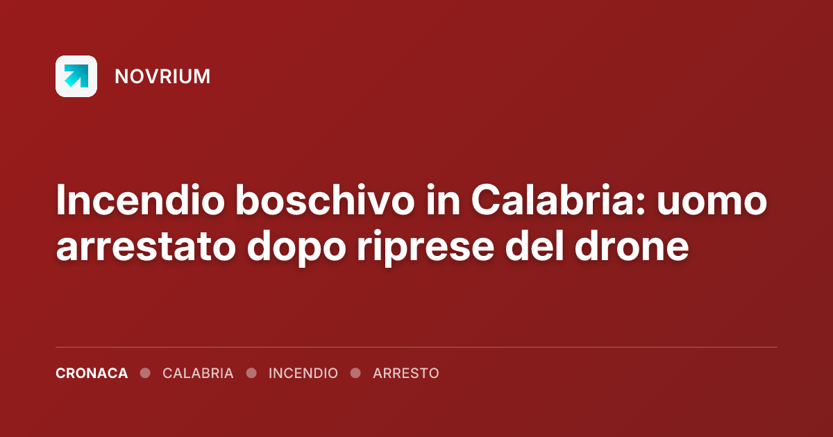 Incendio boschivo in Calabria: uomo arrestato dopo riprese del drone