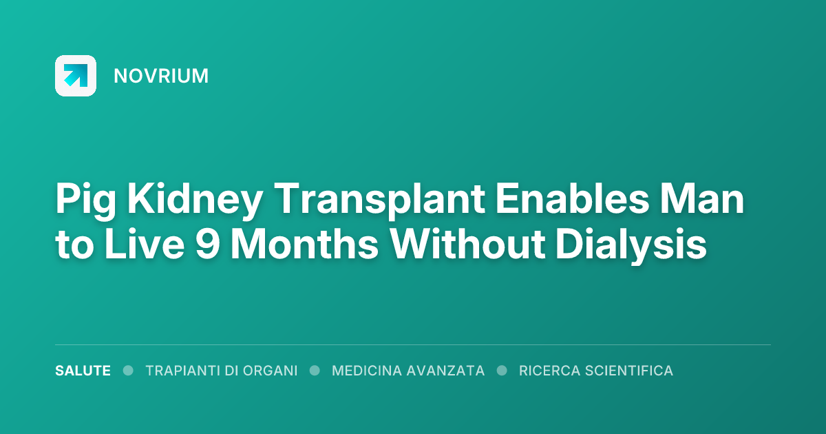 Pig Kidney Transplant Enables Man to Live 9 Months Without Dialysis