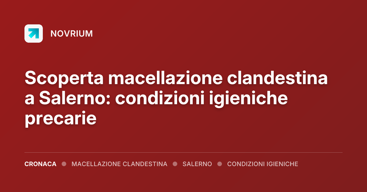 Scoperta macellazione clandestina a Salerno: condizioni igieniche precarie