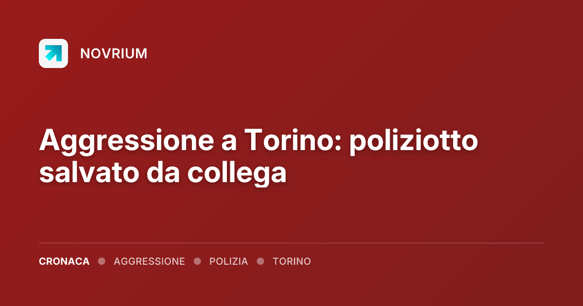 Aggressione a Torino: poliziotto salvato da collega